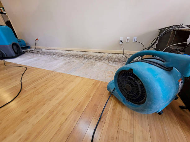 Professional Basement Flood Cleanup technician working in Diamondhead, MS